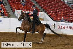 13buck_1008 proof