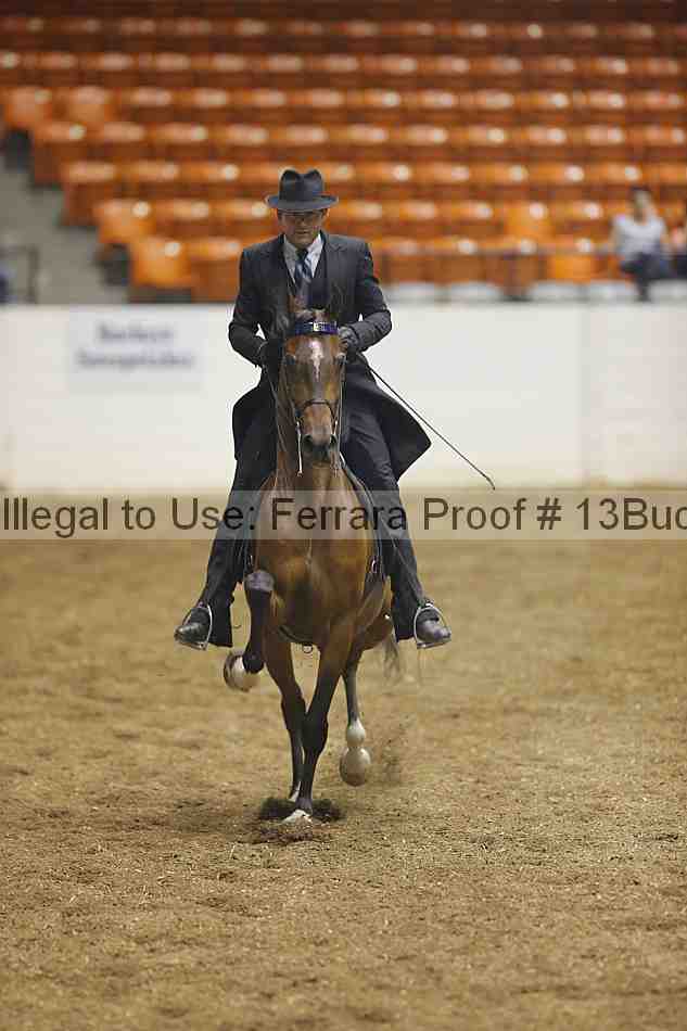 Proof 13buck_1009