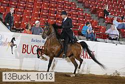 13buck_1013 proof
