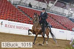 13buck_1015 proof
