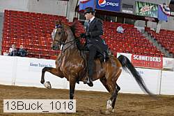 13buck_1016 proof