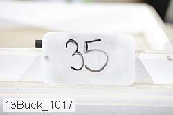 13buck_1017 proof
