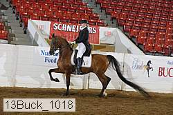 13buck_1018 proof