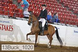 13buck_1020 proof