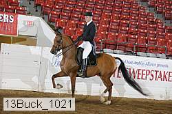 13buck_1021 proof