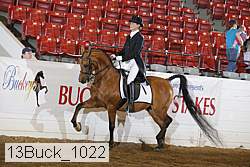 13buck_1022 proof
