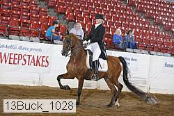 13buck_1028 proof