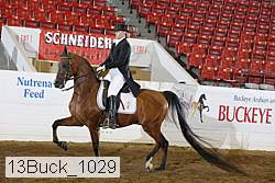 13buck_1029 proof