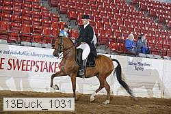 13buck_1031 proof