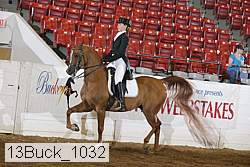 13buck_1032 proof