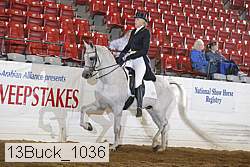 13buck_1036 proof