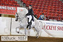 13buck_1037 proof