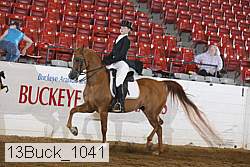 13buck_1041 proof