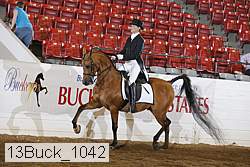 13buck_1042 proof