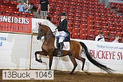 13buck_1045 proof