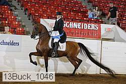 13buck_1046 proof