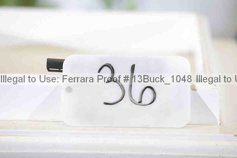 Proof 13buck_1048
