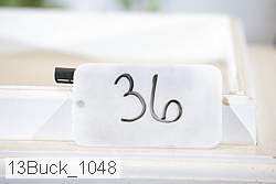13buck_1048 proof