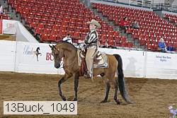 13buck_1049 proof