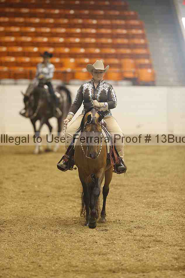Proof 13buck_1051