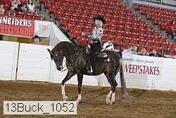 13buck_1052 proof