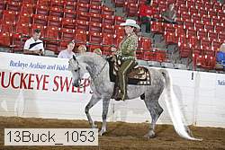 13buck_1053 proof