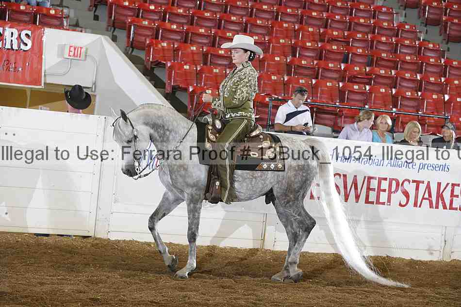 Proof 13buck_1054