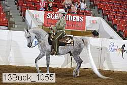 13buck_1055 proof