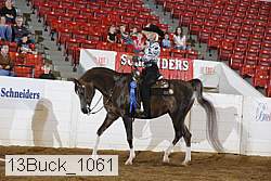 13buck_1061 proof