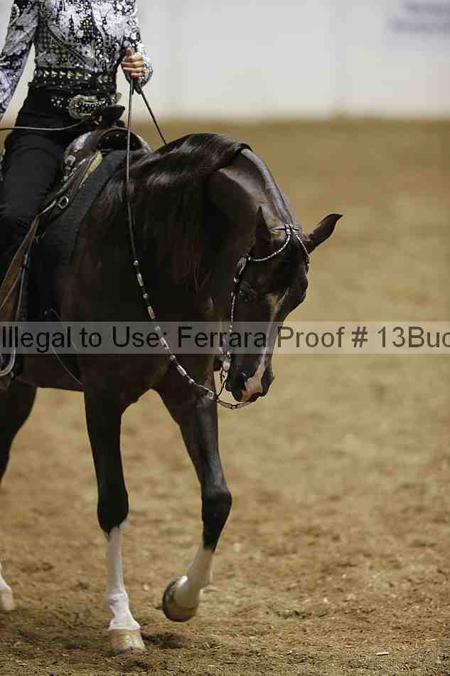 Proof 13buck_1064