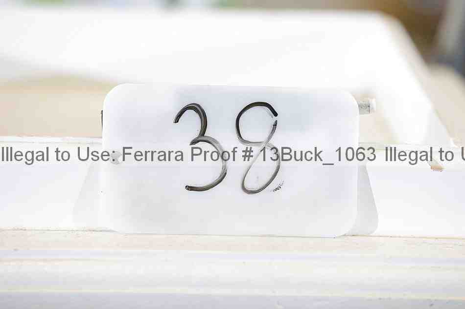 Proof 13buck_1063