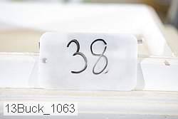 13buck_1063 proof