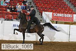 13buck_1065 proof