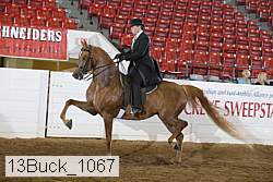 13buck_1067 proof