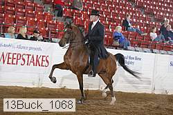 13buck_1068 proof