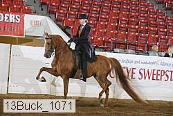13buck_1071 proof