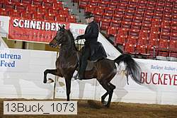 13buck_1073 proof
