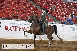 13buck_1075 proof