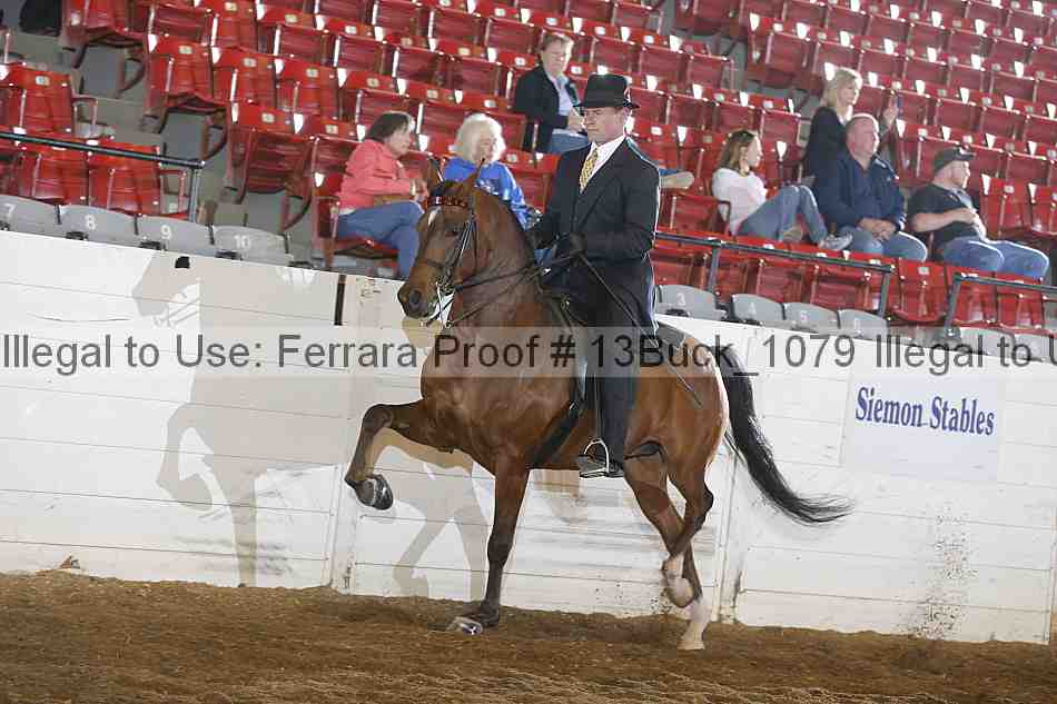Proof 13buck_1079