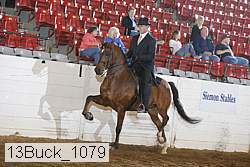 13buck_1079 proof
