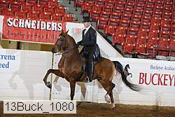 13buck_1080 proof