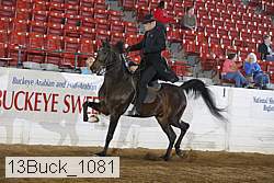 13buck_1081 proof