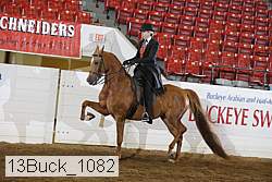 13buck_1082 proof