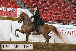 13buck_1084 proof