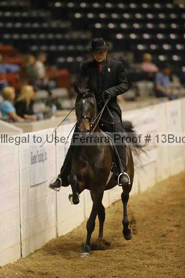 Proof 13buck_1085