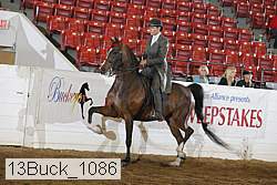 13buck_1086 proof