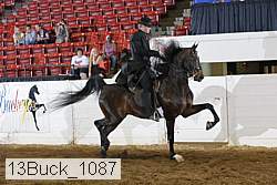 13buck_1087 proof