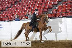 13buck_1088 proof