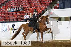 13buck_1089 proof