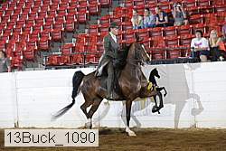 13buck_1090 proof
